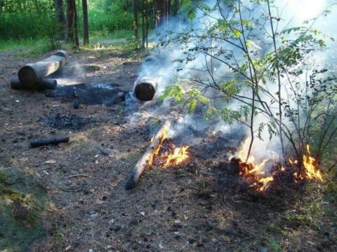 Виновникам лесных пожаров в Воскресенске грозят большие штрафы Новости Воскресенска 